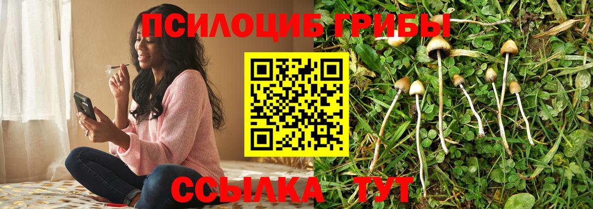 Галлюциногенные грибы мухоморы  Вход с VPN  Галлюциногенные грибы прущие грибы  Янаул 